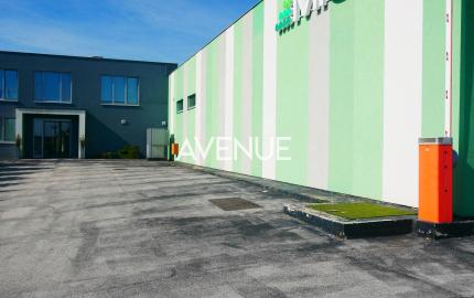 AVENUE | samostatný, zariadený výrobno – skladový areál, Svätý Jur.