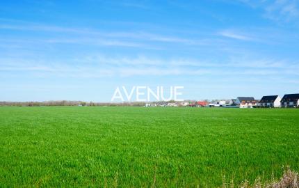 AVENUE | rovinatý pozemok, výhodná investícia, Čuňovo.