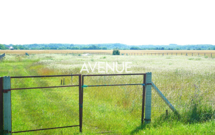 AVENUE | rovinatý pozemok v katastri mestskej časti  Čuňovo.