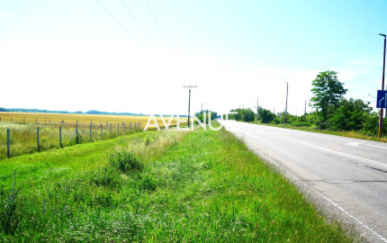 AVENUE | rovinatý pozemok v katastri mestskej časti  Čuňovo.