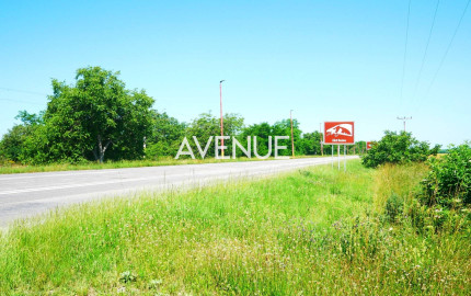 AVENUE | rovinatý pozemok v katastri mestskej časti  Čuňovo.