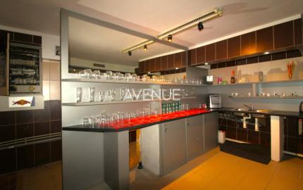 AVENUE I nebytový priestor v suteréne domu, Hálkova, BA III