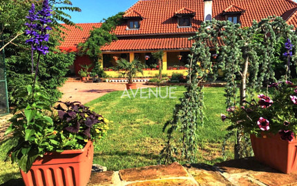 AVENUE | exkluzívna vidiecka rodinná usadlosť zameraná na chov koní, Lučenec.