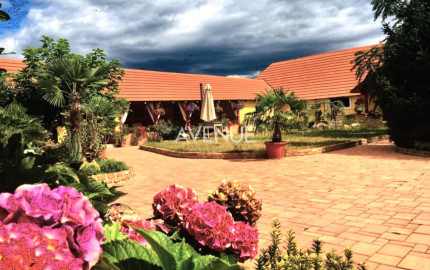 AVENUE | exkluzívna vidiecka rodinná usadlosť zameraná na chov koní, Lučenec.