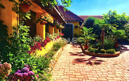 AVENUE | exkluzívna vidiecka rodinná usadlosť zameraná na chov koní, Lučenec.