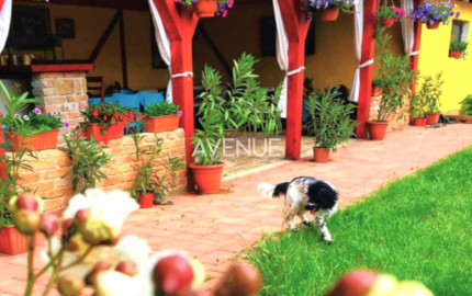 AVENUE | exkluzívna vidiecka rodinná usadlosť zameraná na chov koní, Lučenec.