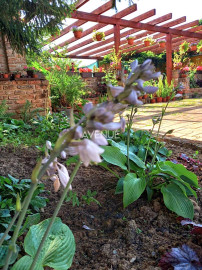 AVENUE | exkluzívna vidiecka rodinná usadlosť zameraná na chov koní, Lučenec.