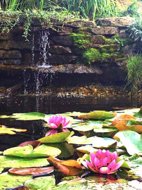 AVENUE | exkluzívna vidiecka rodinná usadlosť zameraná na chov koní, Lučenec.