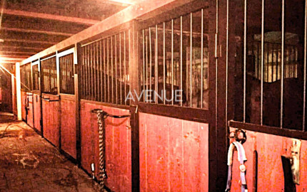 AVENUE | exkluzívna vidiecka rodinná usadlosť zameraná na chov koní, Lučenec.