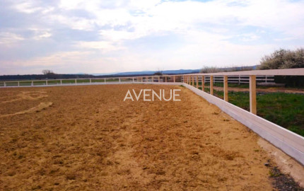 AVENUE | exkluzívna vidiecka rodinná usadlosť zameraná na chov koní, Lučenec.