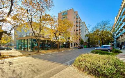 AVENUE I PRENÁJOM, slnečný a priestranný 2i byt v Starom Meste, BA I