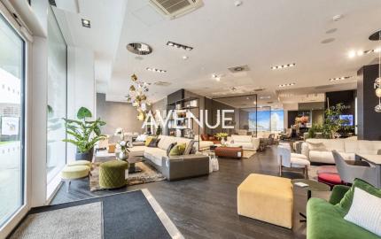 AVENUE | kvalitne vybavený obchodný priestor 275 m2, Landererova, BA I