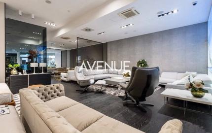 AVENUE | kvalitne vybavený obchodný priestor 275 m2, Landererova, BA I
