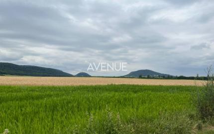 AVENUE | VÝHODNÁ CENA!  SLNEČNÝ STAVEBNÝ POZEMOK WOLFSTHAL RAKÚSKO