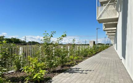 AVENUE | parkovacie miesto s odpočtom DPH - Slnečnice POP, Labutia 1