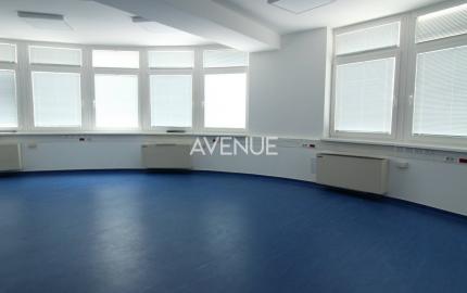 AVENUE | priestory vhodné na kliniku, kancelárie, terasa garáž, BA I