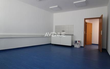 AVENUE | priestory vhodné na kliniku, kancelárie, terasa garáž, BA I