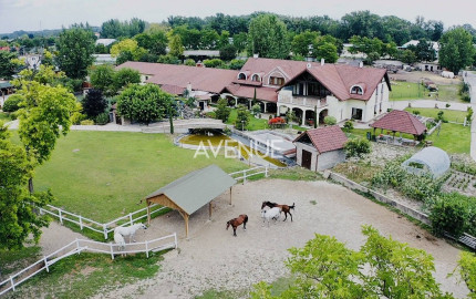 AVENUE I PREDAJ, exkluzívna rodinná usadlosť s jazierkom,Dunajský Klátov
