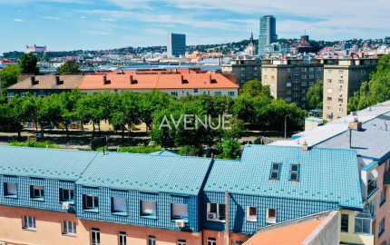 AVENUE | veľkometrážny moderný mezonet v pulzujúcej lokalite, Bazová ulica