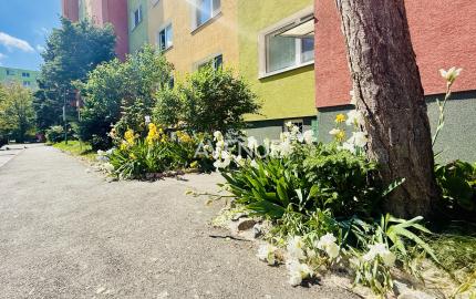 AVENUE | útulný a krásne slnečný 1i byt vo vyhľadávanom pôvodnom stave, s výhľadom do parčíku.