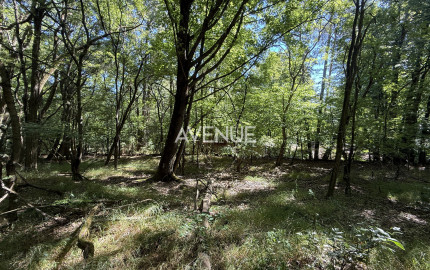 Výnimočný pozemok v srdci Malých Karpát | Modra | 2 845 m²