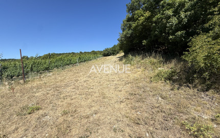Výnimočný pozemok v srdci Malých Karpát | Modra | 2 845 m²