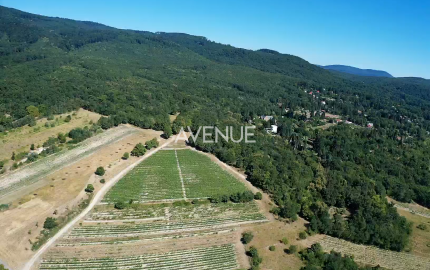 Výnimočný pozemok v srdci Malých Karpát | Modra | 2 845 m²