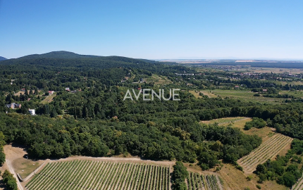 Výnimočný pozemok v srdci Malých Karpát | Modra | 2 845 m²