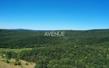 Výnimočný pozemok v srdci Malých Karpát | Modra | 2 845 m²