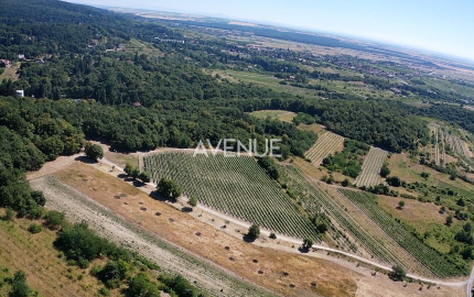 Výnimočný pozemok v srdci Malých Karpát | Modra | 2 845 m²