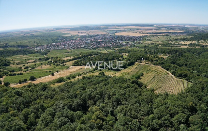 Výnimočný pozemok v srdci Malých Karpát | Modra | 2 845 m²