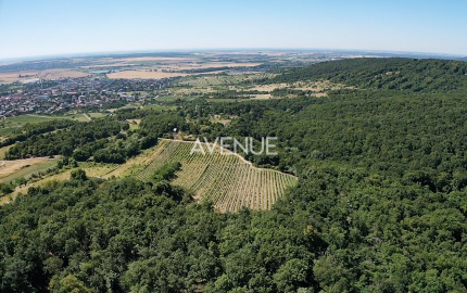 Výnimočný pozemok v srdci Malých Karpát | Modra | 2 845 m²