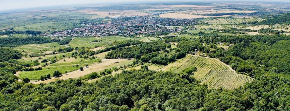 Výnimočný pozemok v srdci Malých Karpát | Modra | 2 845 m²