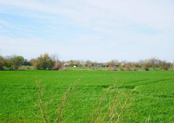 AVENUE | rovinatý pozemok, výhodná investícia, Čuňovo.