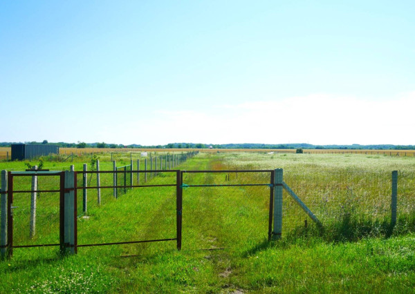 AVENUE | rovinatý pozemok v katastri mestskej časti  Čuňovo.