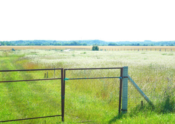 AVENUE | rovinatý pozemok v katastri mestskej časti  Čuňovo.