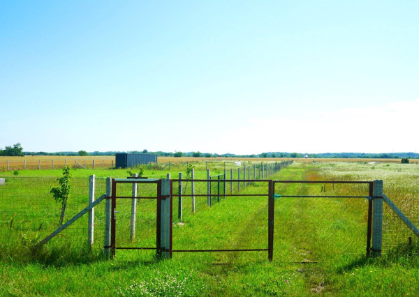 AVENUE | rovinatý pozemok v katastri mestskej časti  Čuňovo.