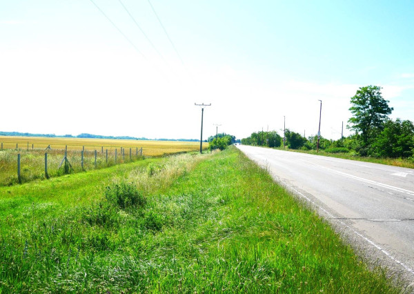 AVENUE | rovinatý pozemok v katastri mestskej časti  Čuňovo.