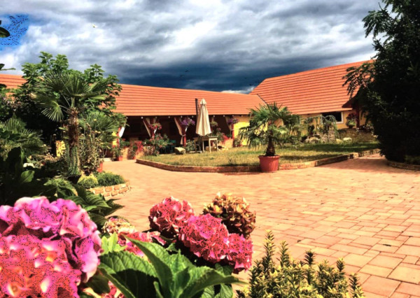 AVENUE | exkluzívna vidiecka rodinná usadlosť zameraná na chov koní, Lučenec.