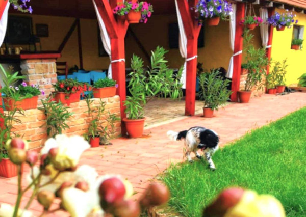 AVENUE | exkluzívna vidiecka rodinná usadlosť zameraná na chov koní, Lučenec.