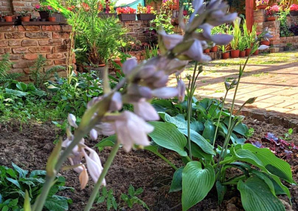 AVENUE | exkluzívna vidiecka rodinná usadlosť zameraná na chov koní, Lučenec.