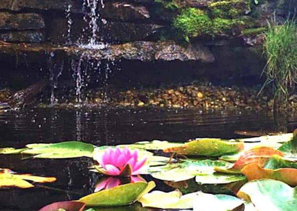 AVENUE | exkluzívna vidiecka rodinná usadlosť zameraná na chov koní, Lučenec.