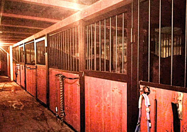 AVENUE | exkluzívna vidiecka rodinná usadlosť zameraná na chov koní, Lučenec.