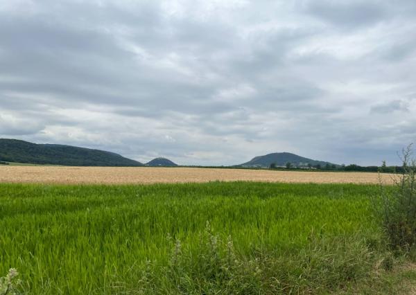 AVENUE | VÝHODNÁ CENA!  SLNEČNÝ STAVEBNÝ POZEMOK WOLFSTHAL RAKÚSKO