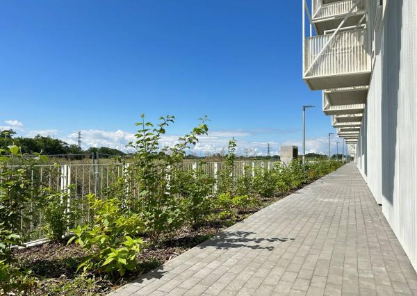 AVENUE | parkovacie miesto s odpočtom DPH - Slnečnice POP, Labutia 1