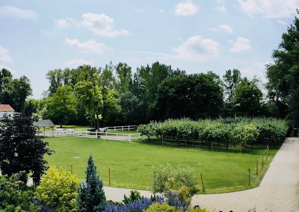 AVENUE I PREDAJ, exkluzívna rodinná usadlosť s jazierkom,Dunajský Klátov