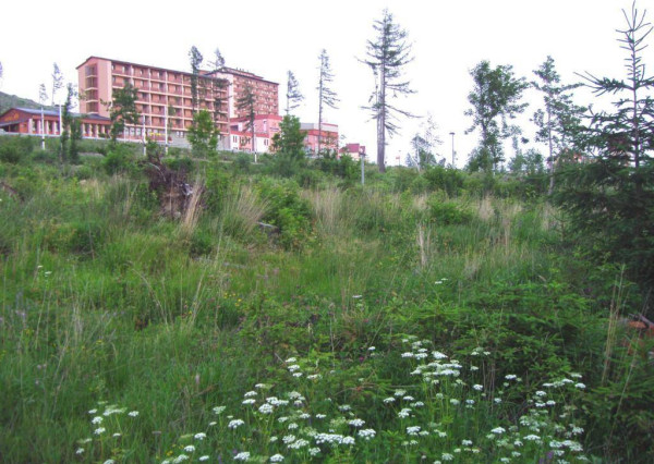 AVENUE I PREDAJ, exkluzívny stavebný pozemok, Starý Smokovec, Poprad