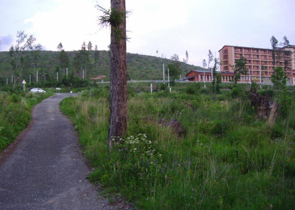 AVENUE I PREDAJ, exkluzívny stavebný pozemok, Starý Smokovec, Poprad