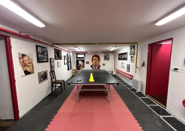 AVENUE RE | 6-izb. dom, veľká záhrada, bazén, 2-garáž, BA IV