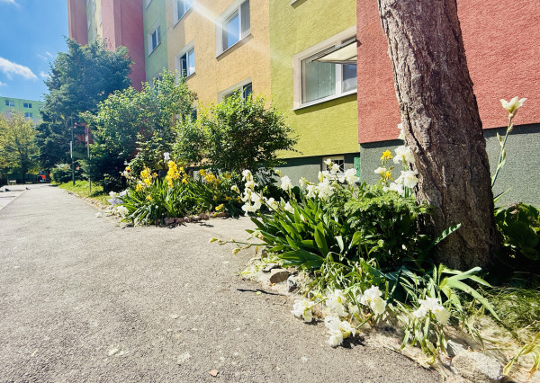 AVENUE | útulný a krásne slnečný 1i byt vo vyhľadávanom pôvodnom stave, s výhľadom do parčíku.